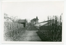 Photographie du chemin menant à la maison du jardinier de Riond-Bosson, Etienne Dolézal, bordé d'espaliers de poires et de pêches, avec à droite les serres chaudes à raisins
