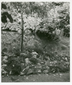 Photographie de l'étang de la propriété de Riond-Bosson en 1940