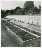 Photographie de détail des serres de la propriété de Riond-Bosson, en 1940