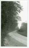 Photographie de la route menant à Tolochenaz, avec à gauche la propriété de Riond-Bosson