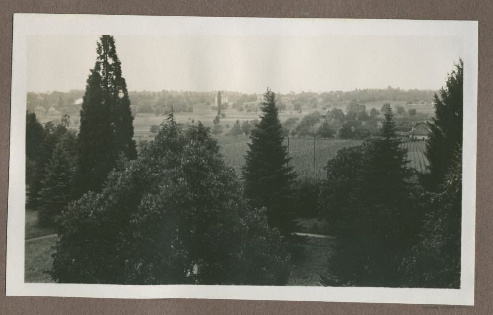 Photographie du jardin de la propriété de Riond-Bosson en 1935