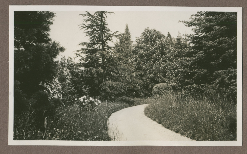 Photographie d'un petit chemin dans le jardin de la propriété de Riond-Bosson en 1935