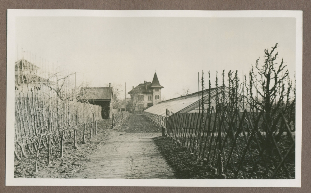 Photographie de cultures maraîchères et de la serre à raisins dans le jardin de la propriété de Riond-Bosson en 1935, avec au fond la maison Dolézal (du jardinier)