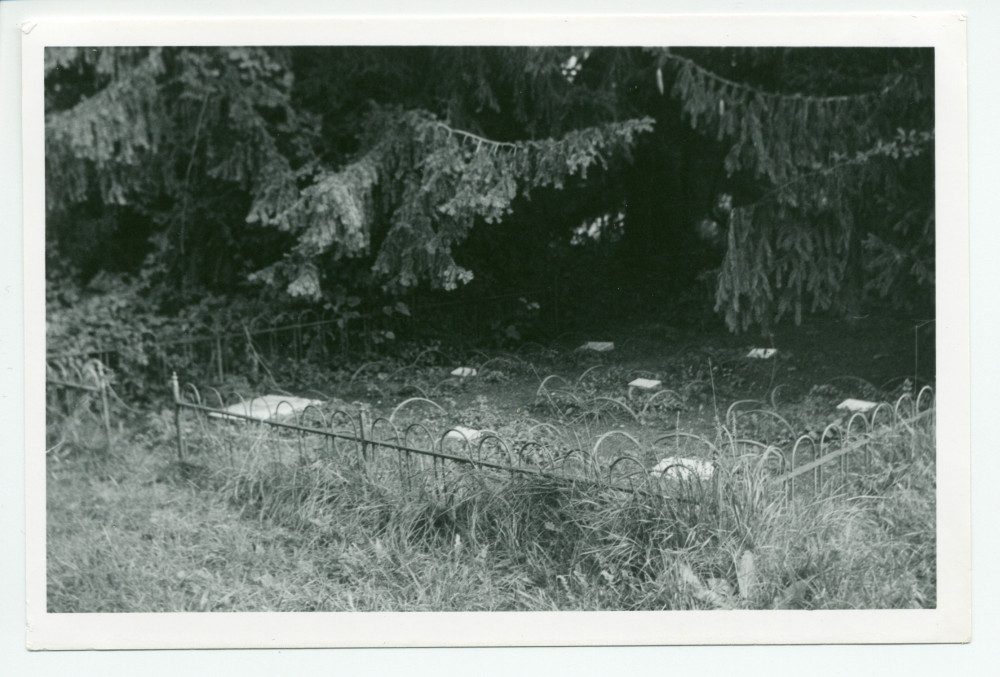 Photographie du cimetière des animaux, sous des arbres dans le parc de Riond-Bosson