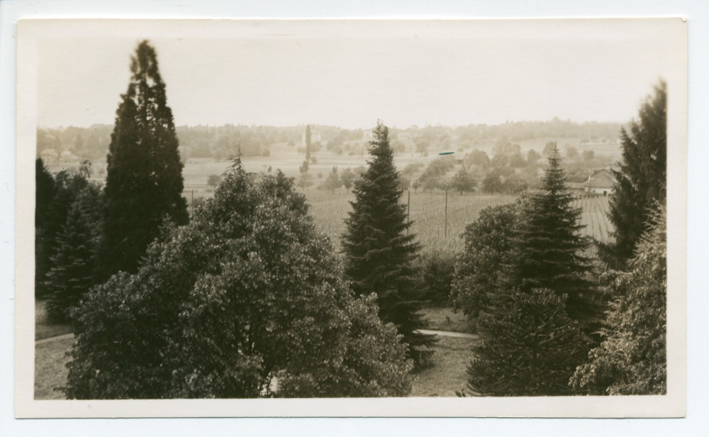 Photographie d'arbres du parc de la propriété de Riond-Bosson, avec maison en arrière-plan, depuis la terrasse du premier étage de la villa, sise côté sud