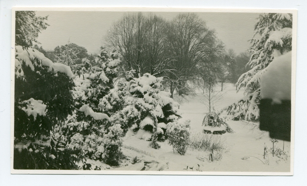 Photographie du parc de la propriété de Riond-Bosson sous la neige