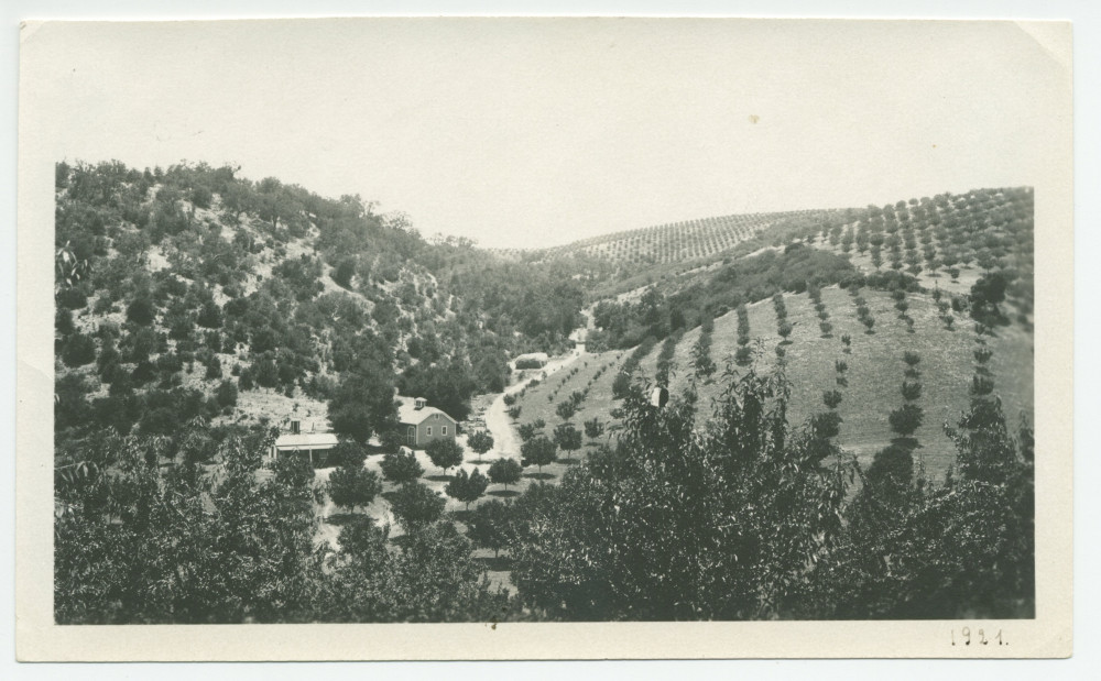 Photographie de la vue à l'arrivée au «Rancho San Ignacio» à Paso Robles, en Californie, en 1921