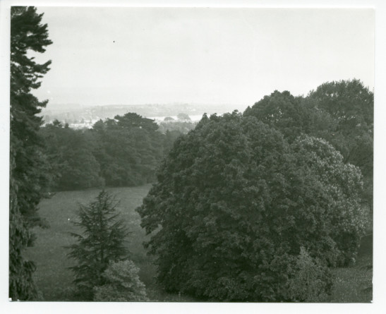 Photographie de la vue depuis la terrasse de la villa de Riond-Bosson