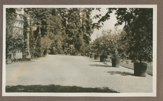 Photographie de l'allée au pied de la terrasse sud de la villa de Riond-Bosson en 1935