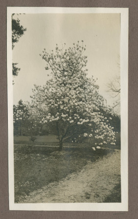 Photographie d'un petit chemin dans le jardin de la propriété de Riond-Bosson en 1935