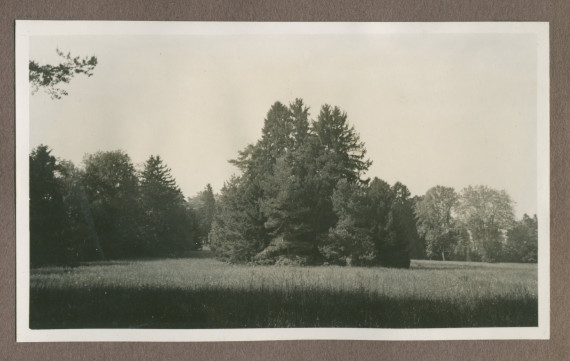 Photographie du jardin de la propriété de Riond-Bosson en 1935