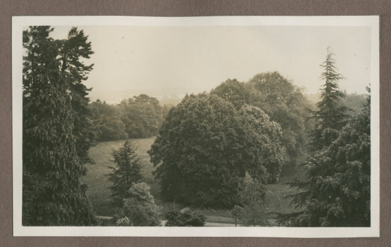 Photographie du jardin de la propriété de Riond-Bosson en 1935
