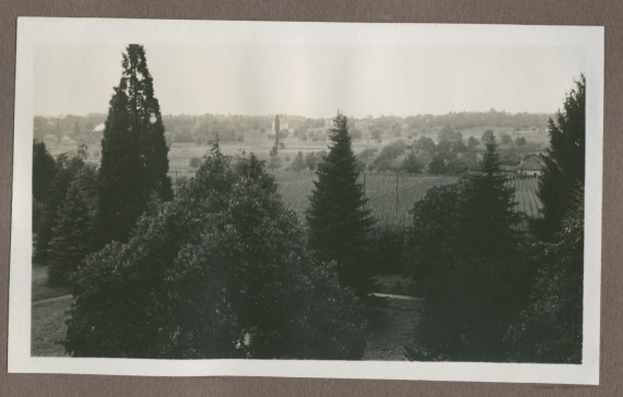 Photographie du jardin de la propriété de Riond-Bosson en 1935