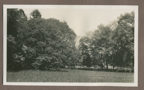 Photographie du parc de la propriété de Riond-Bosson en 1935