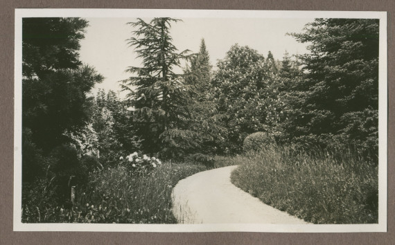 Photographie d'un petit chemin dans le jardin de la propriété de Riond-Bosson en 1935