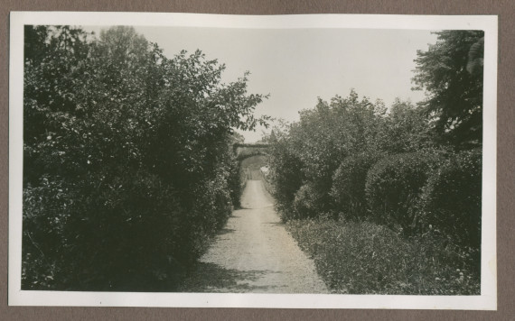 Photographie d'une allée arborisée dans le jardin de la propriété de Riond-Bosson en 1935