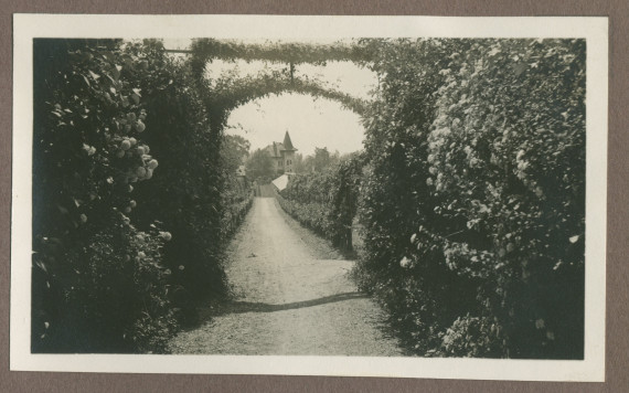 Photographie d'une allée arborisée dans le jardin de la propriété de Riond-Bosson en 1935