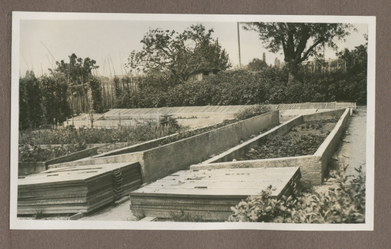Photographie du potager dans le jardin de la propriété de Riond-Bosson en 1935