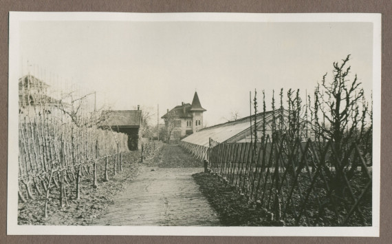 Photographie de cultures maraîchères et de la serre à raisins dans le jardin de la propriété de Riond-Bosson en 1935, avec au fond la maison Dolézal (du jardinier)