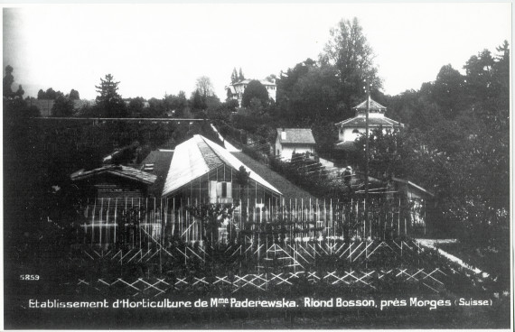 Carte postale avec légende représentant l'«Etablissement d'Horticulture de Mme Paderewska, Riond-Bosson, près Morges» – éditée par F. Regamey à Morges
