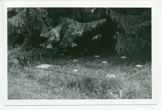 Photographie du cimetière des animaux, sous des arbres dans le parc de Riond-Bosson