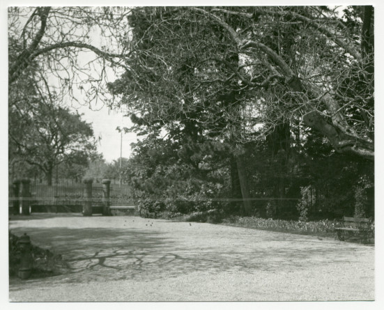 Photographie de l'entrée principale (nord) de la propriété de Riond-Bosson vue depuis la villa