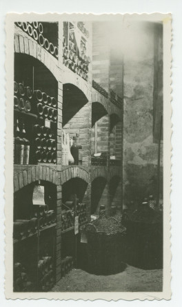 Photographie d'une partie de la cave à vins de Riond-Bosson