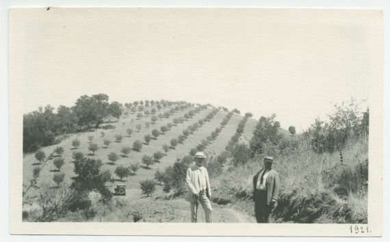 Photographie de Paderewski (accompagné de ?) sur les terres de son «Rancho San Ignacio» à Paso Robles, en Californie, en 1921