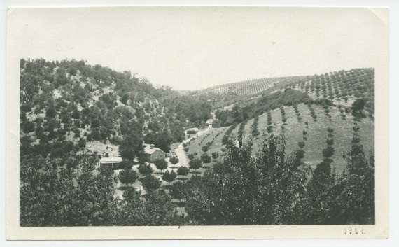 Photographie de la vue à l'arrivée au «Rancho San Ignacio» à Paso Robles, en Californie, en 1921