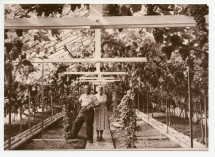 Photographie du jardinier Etienne Dolézal et son épouse dans la serre à raisins «géants» de Riond-Bosson