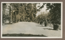 Photographie de l'allée au pied de la terrasse sud de la villa de Riond-Bosson en 1935