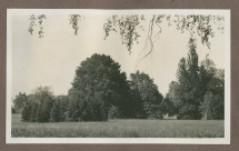 Photographie du jardin de la propriété de Riond-Bosson en 1935