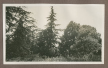 Photographie du jardin de la propriété de Riond-Bosson en 1935