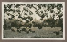 Photographie du jardin de la propriété de Riond-Bosson en 1935