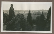 Photographie du jardin de la propriété de Riond-Bosson en 1935