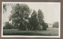 Photographie éloignée de l'angle sud-ouest de la villa de Riond-Bosson en 1935, avec le parc en premier plan