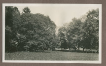 Photographie du parc de la propriété de Riond-Bosson en 1935