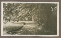 Photographie d'une allée arborisée dans le jardin de la propriété de Riond-Bosson en 1935