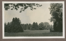 Photographie du parc de la propriété de Riond-Bosson en 1935