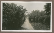 Photographie d'une allée arborisée dans le jardin de la propriété de Riond-Bosson en 1935