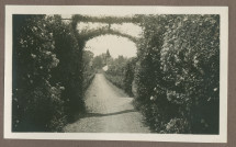 Photographie d'une allée arborisée dans le jardin de la propriété de Riond-Bosson en 1935