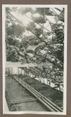 Photographie de l'intérieur de la serre à raisins dans le jardin de la propriété de Riond-Bosson en 1935, avec les tuyaux de chauffage avant-gardistes