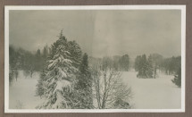 Photographie du parc de la propriété de Riond-Bosson en 1935 sous la neige, vu depuis la terrasse de la villa