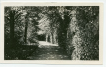Photographie de l'allée sise à gauche de la villa de Riond-Bosson