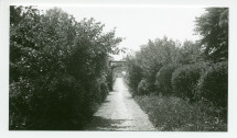 Photographie du chemin menant du parc aux cultures de la propriété de Riond-Bosson