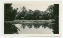 Photographies de l'étang de la propriété de Riond-Bosson avec ses poissons d'or