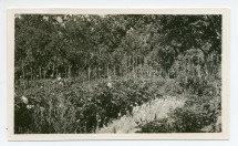 Photographie du jardin des fleurs de la propriété de Riond-Bosson
