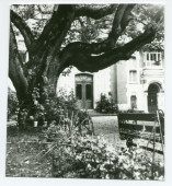 Photographie des deux entrées nord de la villa de Riond-Bosson avec au premier plan le catalpa (arbre «trompette») et un banc
