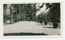 Photographie de l'espace entre l'orangerie et la roseraie de la villa de Riond-Bosson, sises côté sud