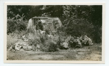 Photographie d'un élément non identifié dans le parc de la propriété de Riond-Bosson (chaise dans une souche ou un rocher?)